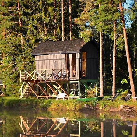Dragon House In The Tree! Jacuzzi, Sauna ,Cinema,Heated Lici  Luaran gambar