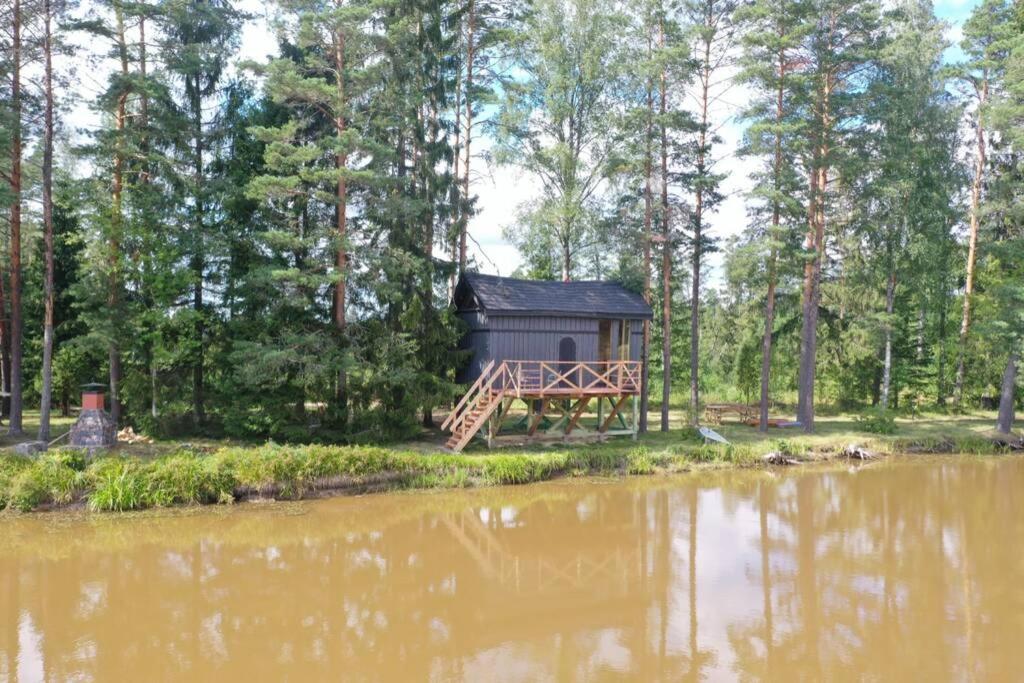 Dragon House In The Tree! Jacuzzi, Sauna ,Cinema,Heated Lici  Luaran gambar