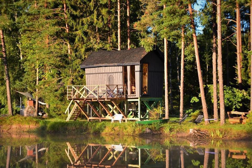 Dragon House In The Tree! Jacuzzi, Sauna ,Cinema,Heated Lici  Luaran gambar