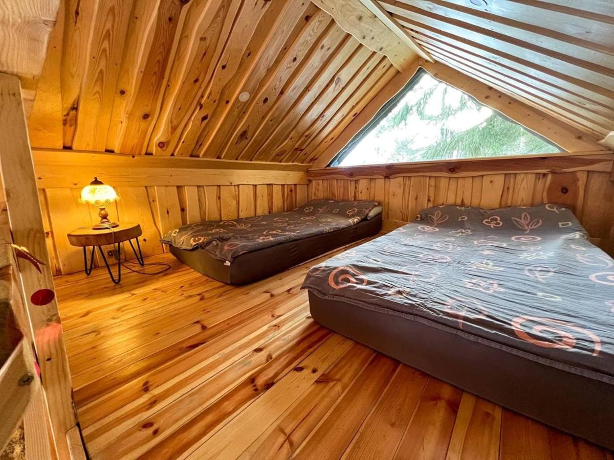 Dragon House In The Tree! Jacuzzi, Sauna ,Cinema,Heated Lici  Luaran gambar