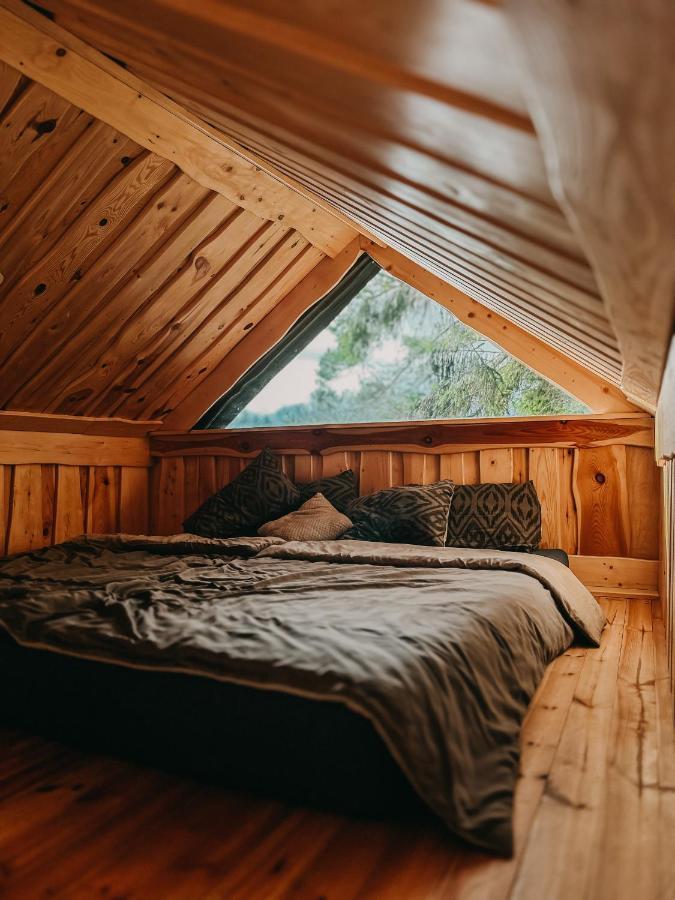 Dragon House In The Tree! Jacuzzi, Sauna ,Cinema,Heated Lici  Luaran gambar