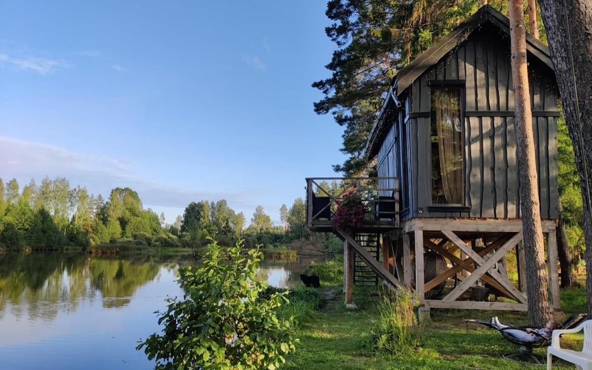 Dragon House In The Tree! Jacuzzi, Sauna ,Cinema,Heated Lici  Luaran gambar
